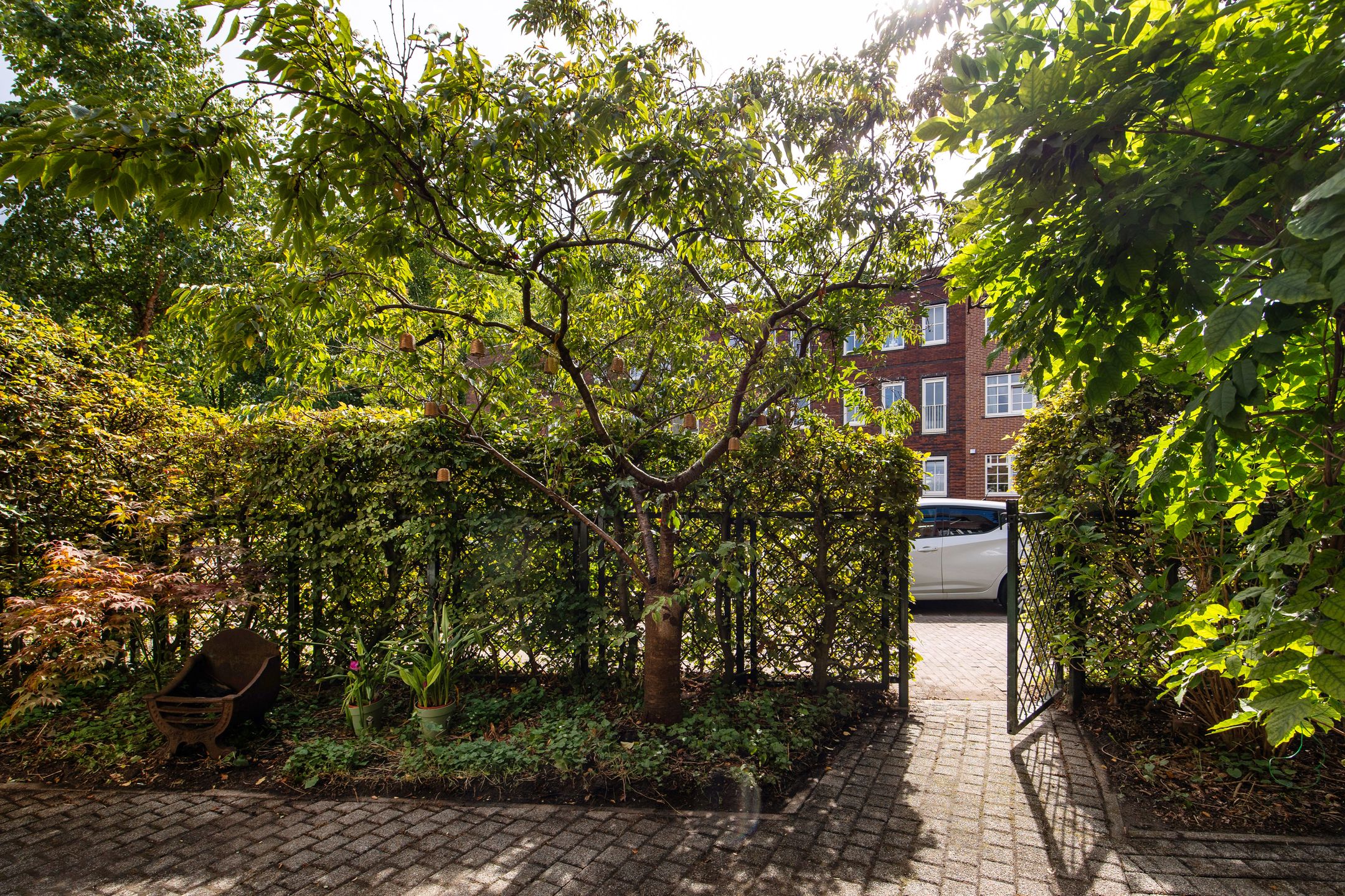 Foto 36 van Noordzijde 34