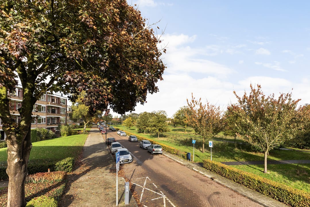 Foto 2 van Albardastraat 152