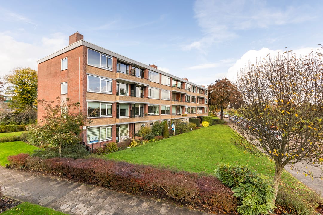 Foto 26 van Albardastraat 152