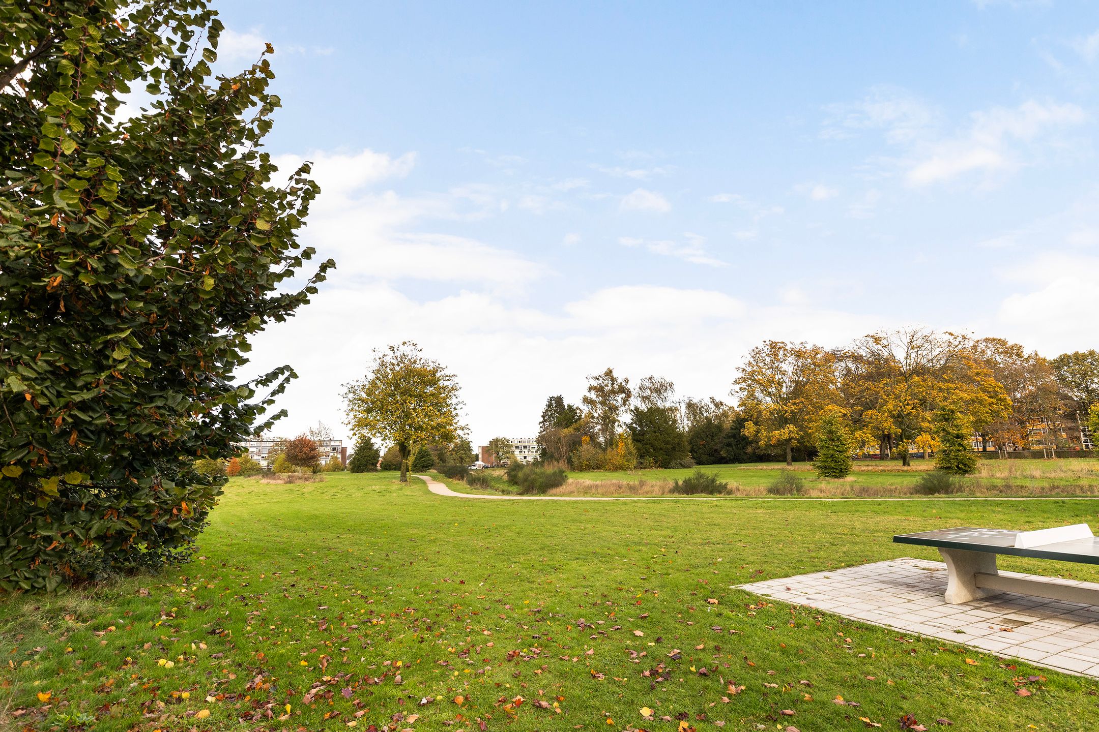 Foto 30 van Albardastraat 152