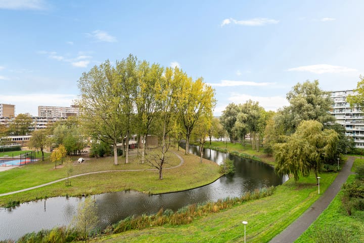 Foto 39 van Alferbos 184