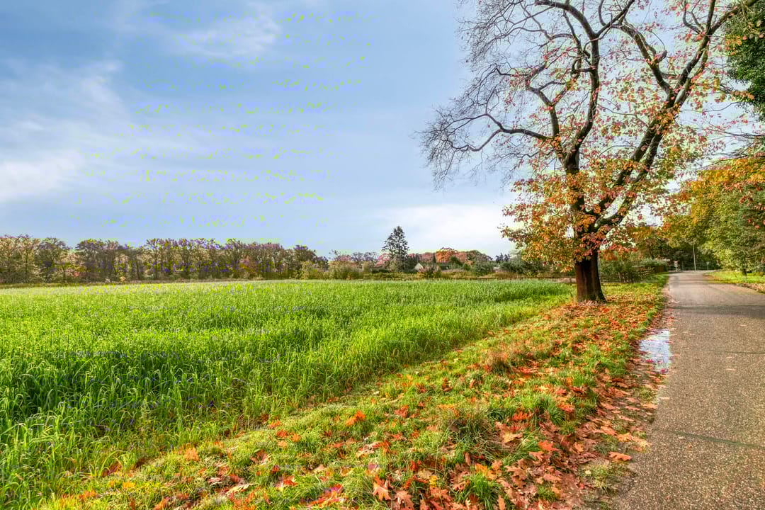 Photo 38 of Rietdekkerstraat 21