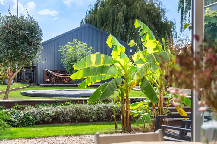 Foto 21 van Maasdijk 182