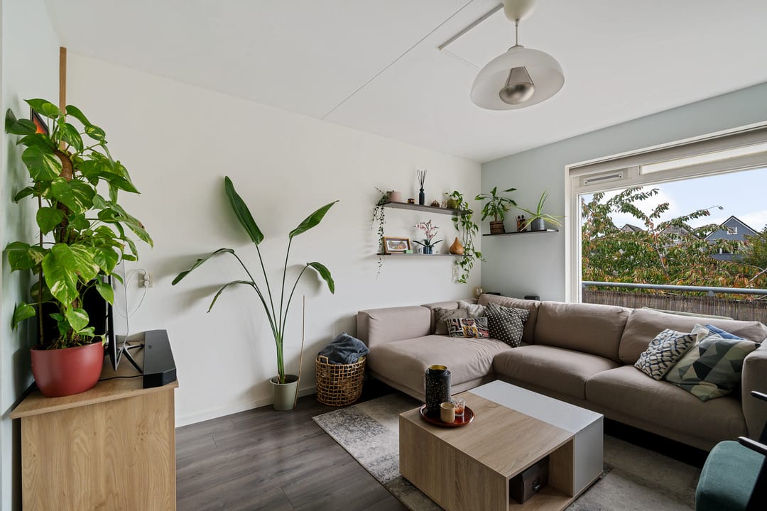 Foto 2 van Het Nieuwe Land 35