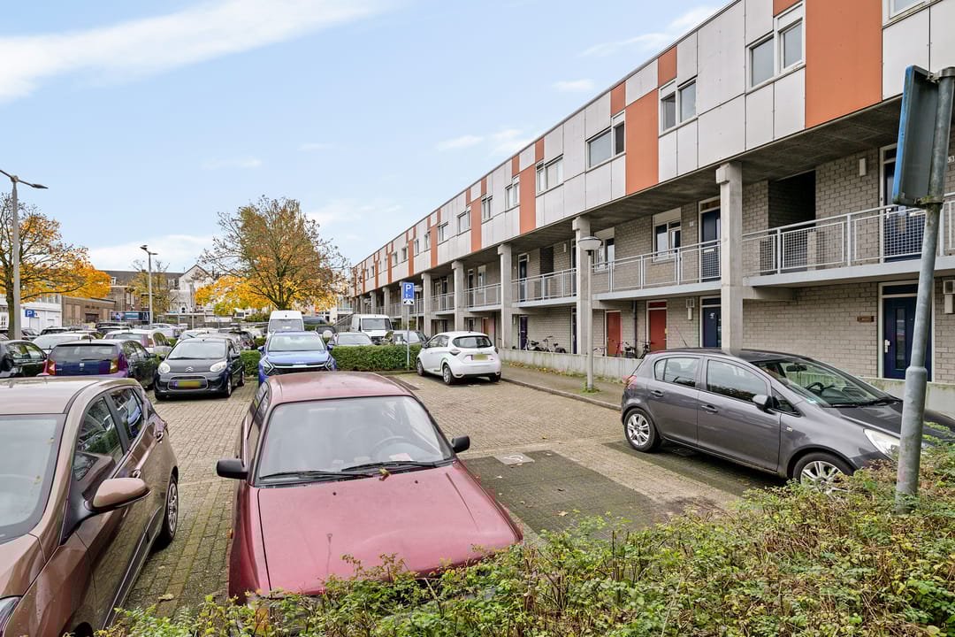 Foto 32 van Het Nieuwe Land 35