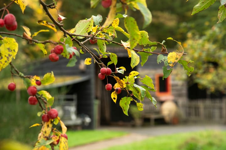 Photo 46 of Kappelhofsweg 26