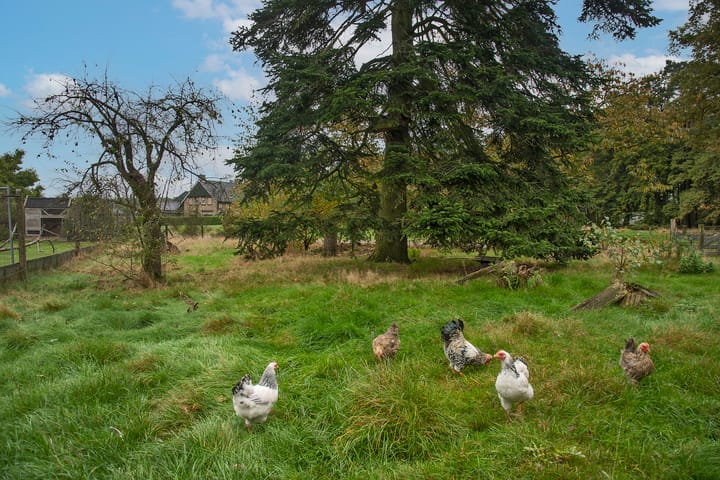 Photo 48 of Kappelhofsweg 26