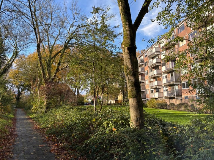 Foto 6 van Doorwerthstraat 31