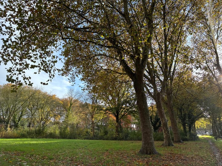 Foto 25 van Doorwerthstraat 31