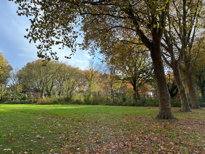 Foto 24 van Doorwerthstraat 31