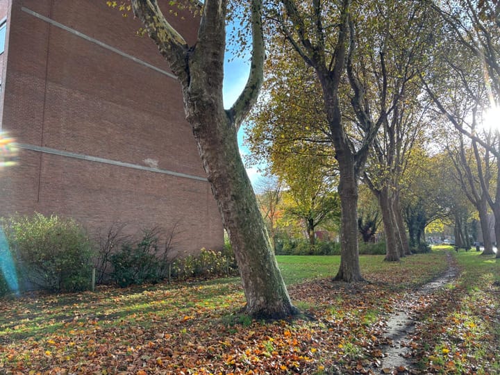 Foto 26 van Doorwerthstraat 31