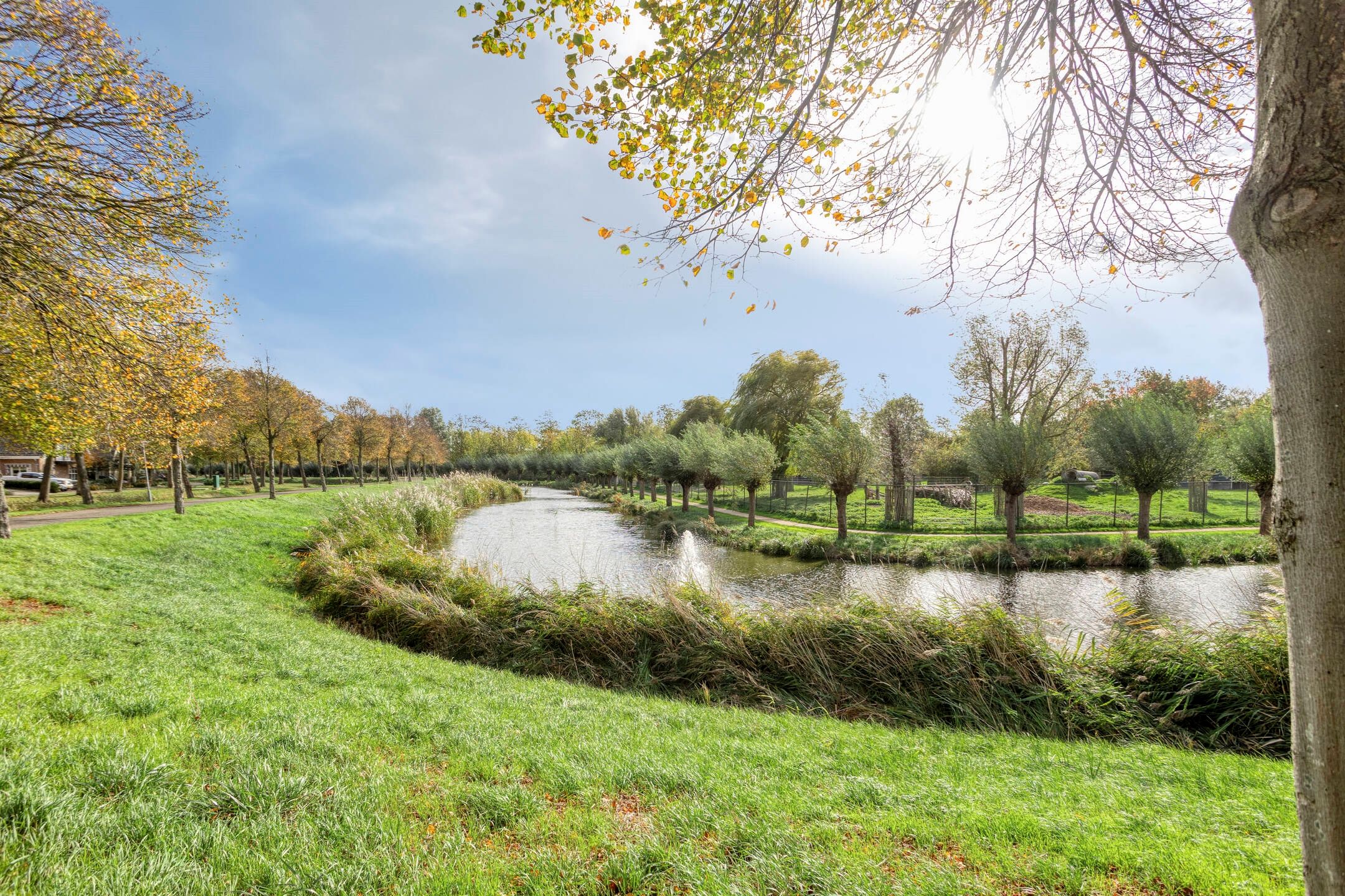 Foto 33 van Weegbreelaan 4