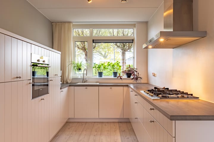 Photo 3 of Paardenbloem 6