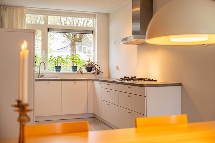 Photo 4 of Paardenbloem 6