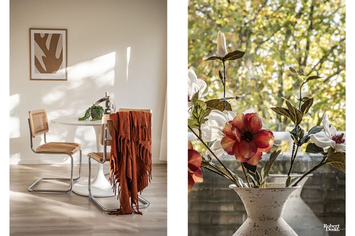 Foto 9 van Rozenstraat 137