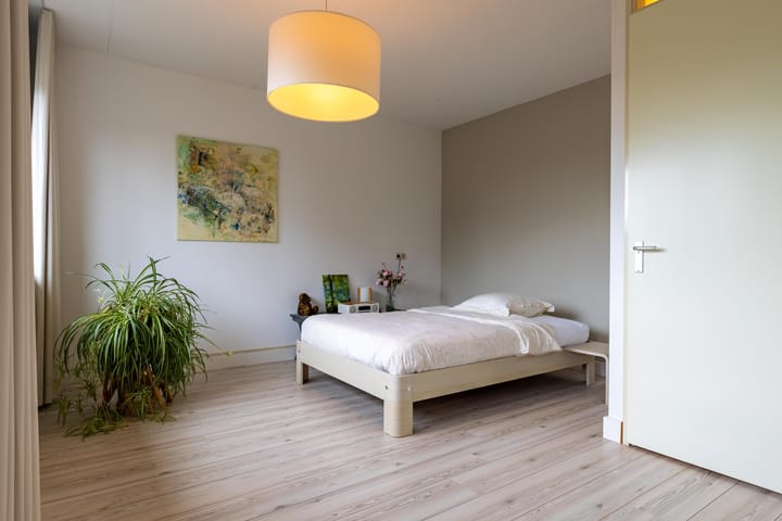 Photo 12 of Paardenbloem 6