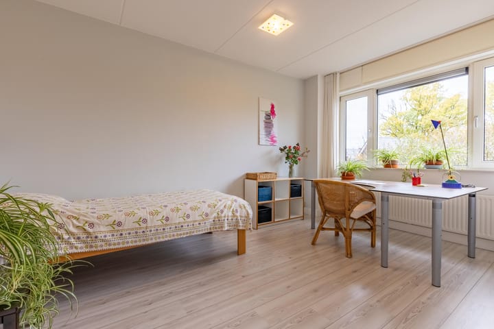 Photo 13 of Paardenbloem 6