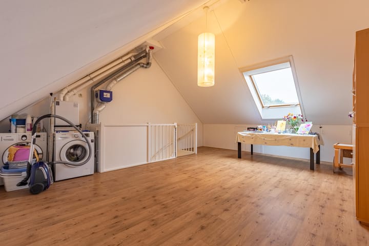 Photo 14 of Paardenbloem 6