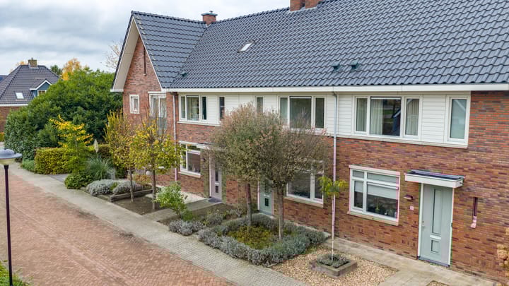 Photo 19 of Paardenbloem 6