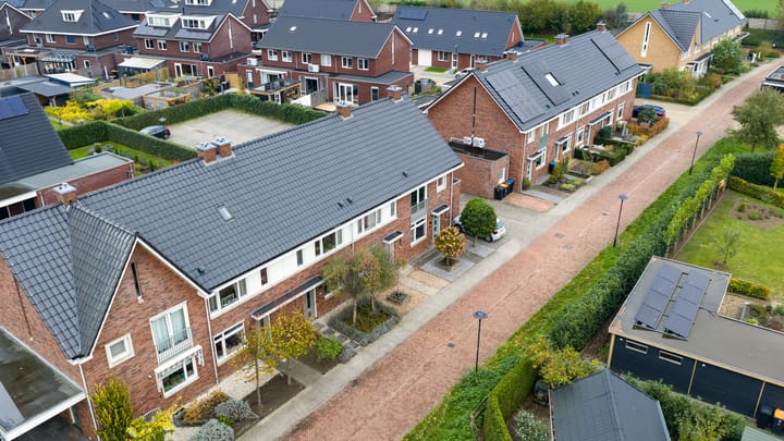 Photo 20 of Paardenbloem 6