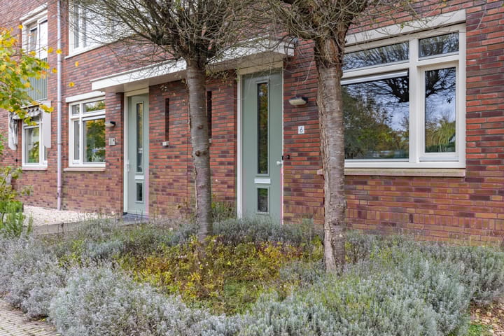 Photo 2 of Paardenbloem 6