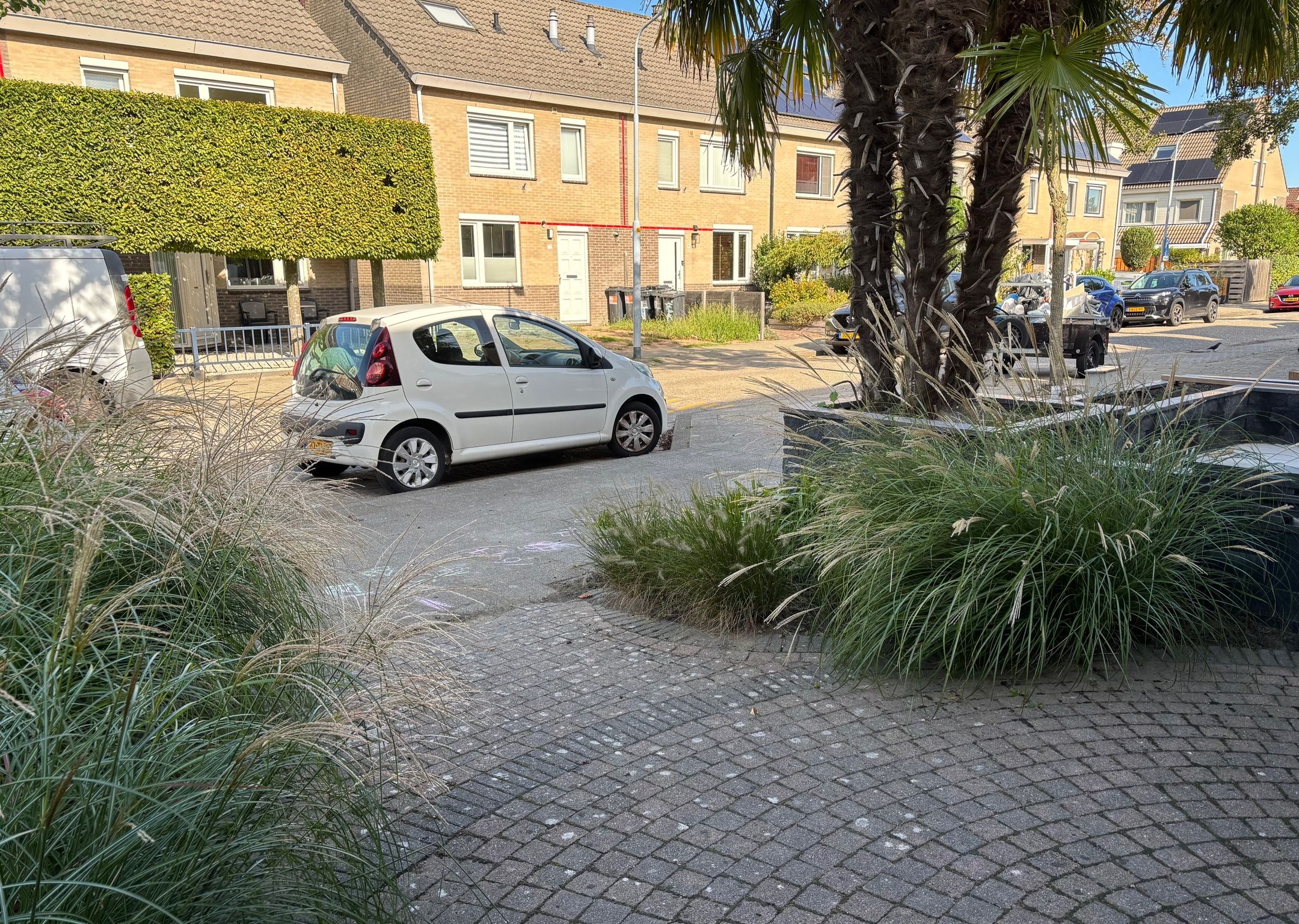 Foto 42 van Dahliastraat 16