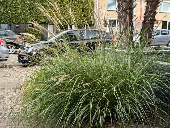 Foto 43 van Dahliastraat 16