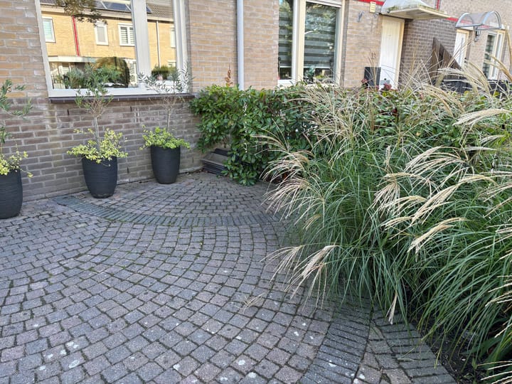 Foto 44 van Dahliastraat 16