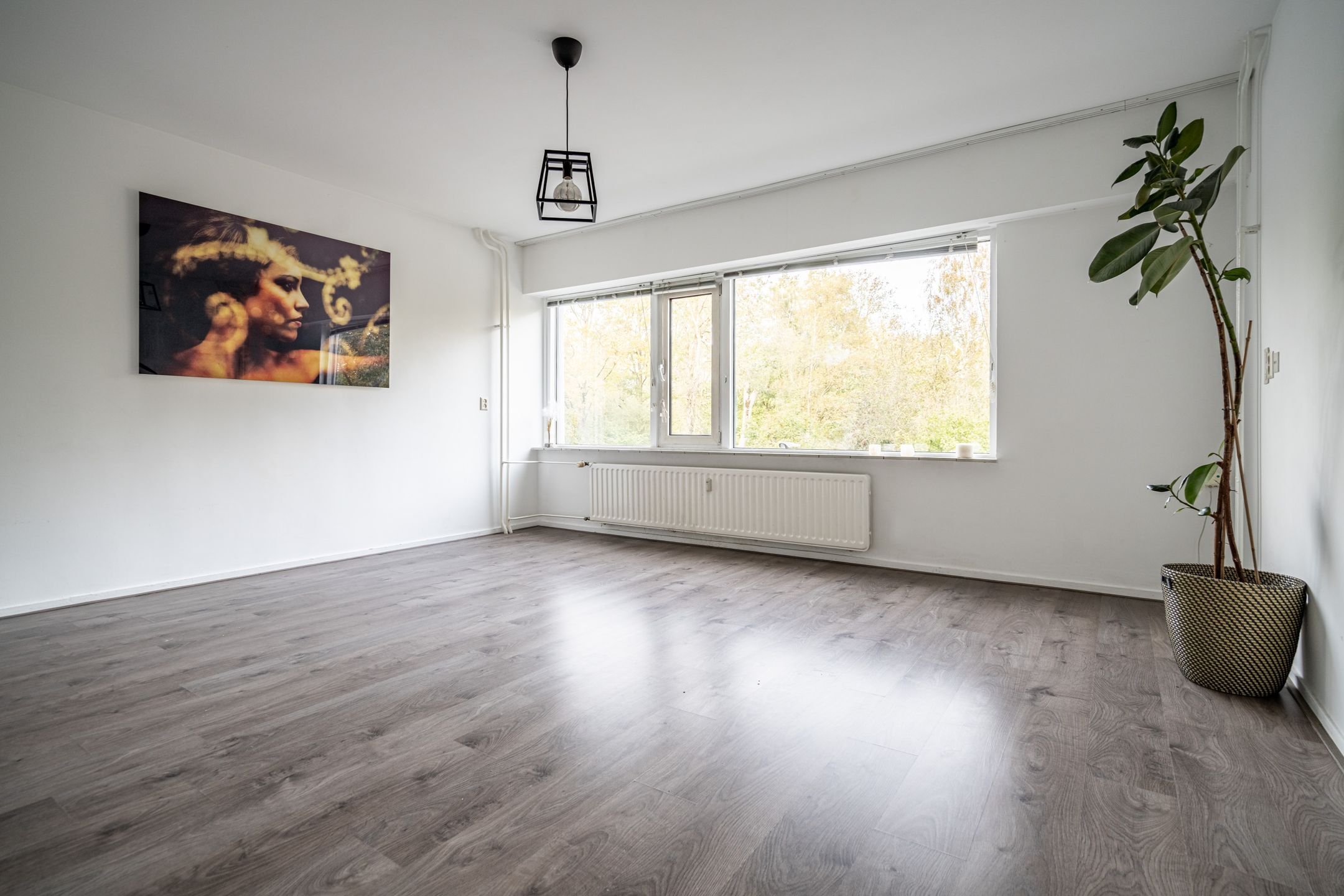 Foto 3 van Lokhorst 43