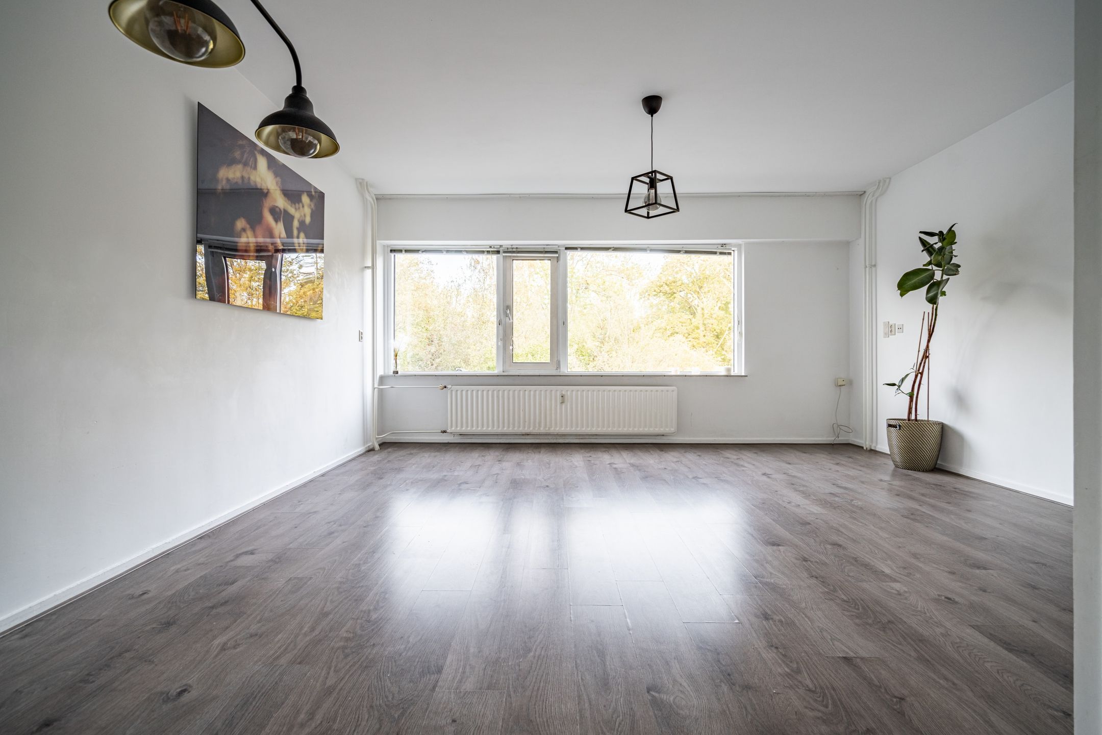 Foto 6 van Lokhorst 43