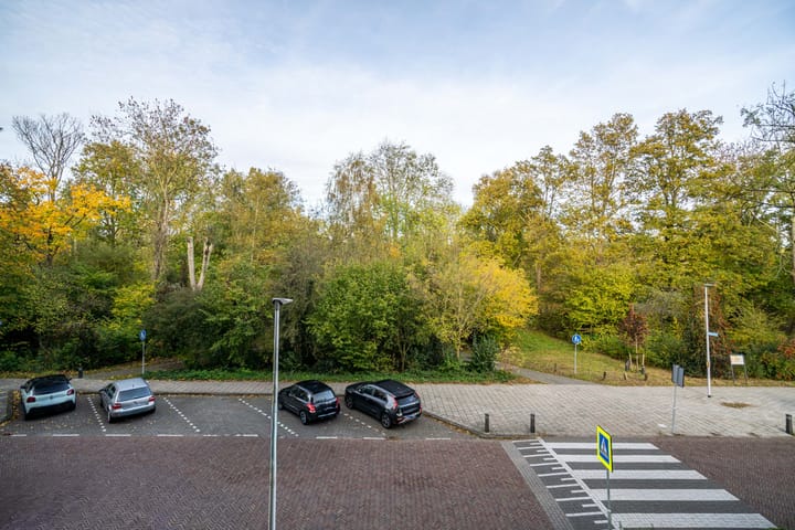 Foto 2 van Lokhorst 43