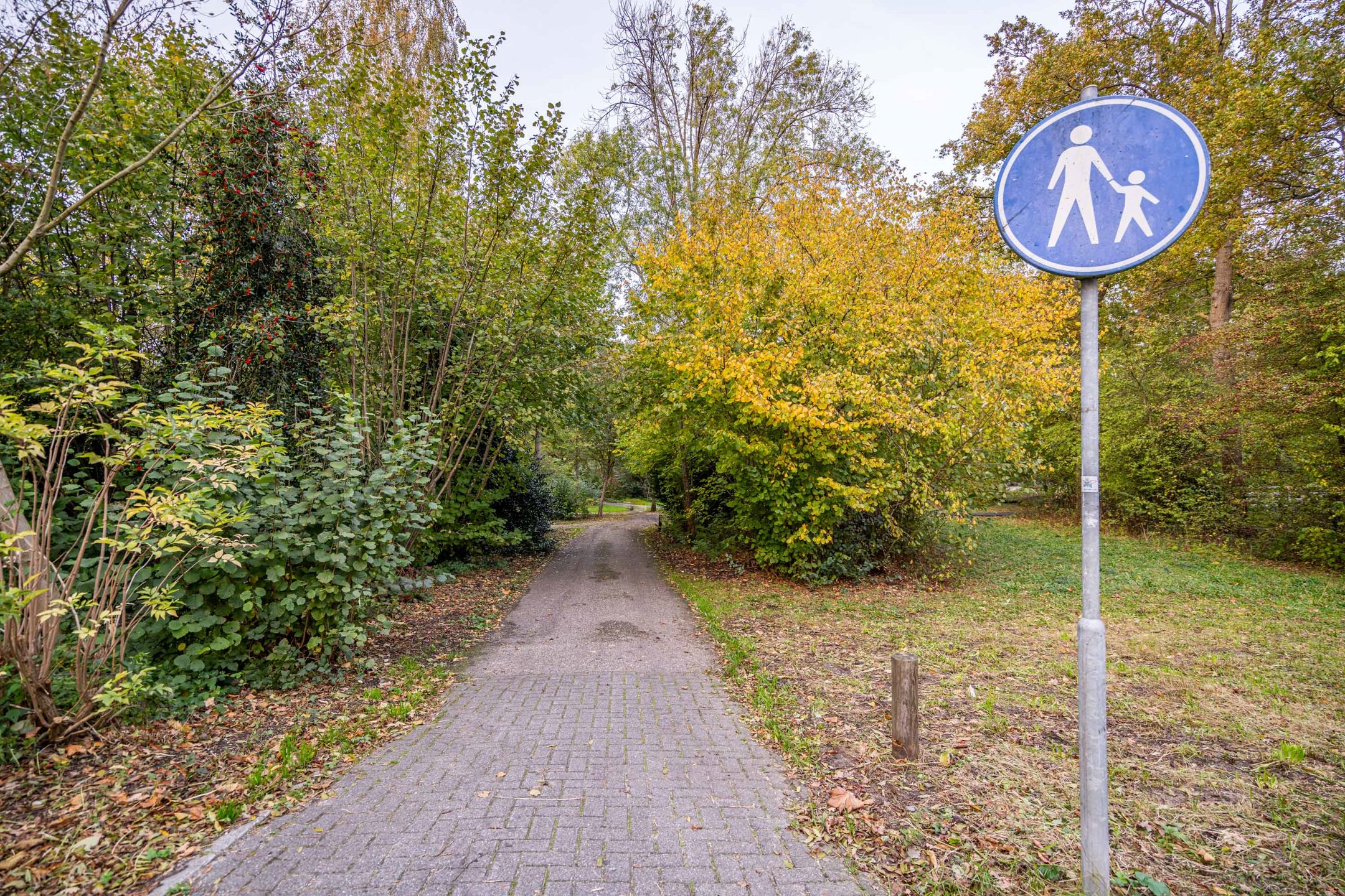 Foto 42 van Lokhorst 43