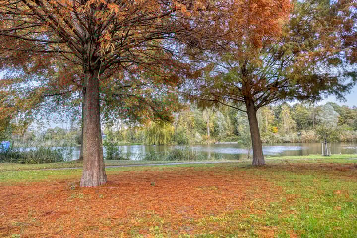 Foto 27 van Hoogmeer 2048