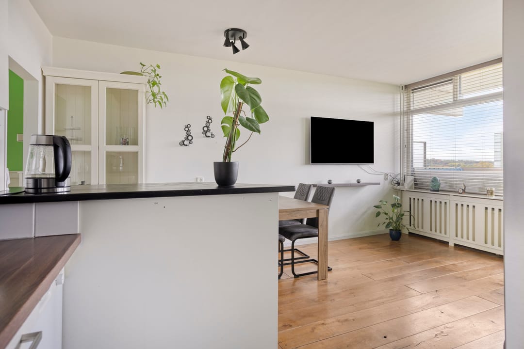 Foto 11 van Jan Vermeerstraat 401