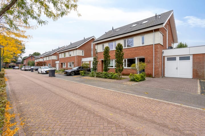 Foto 43 van Vlasven 219