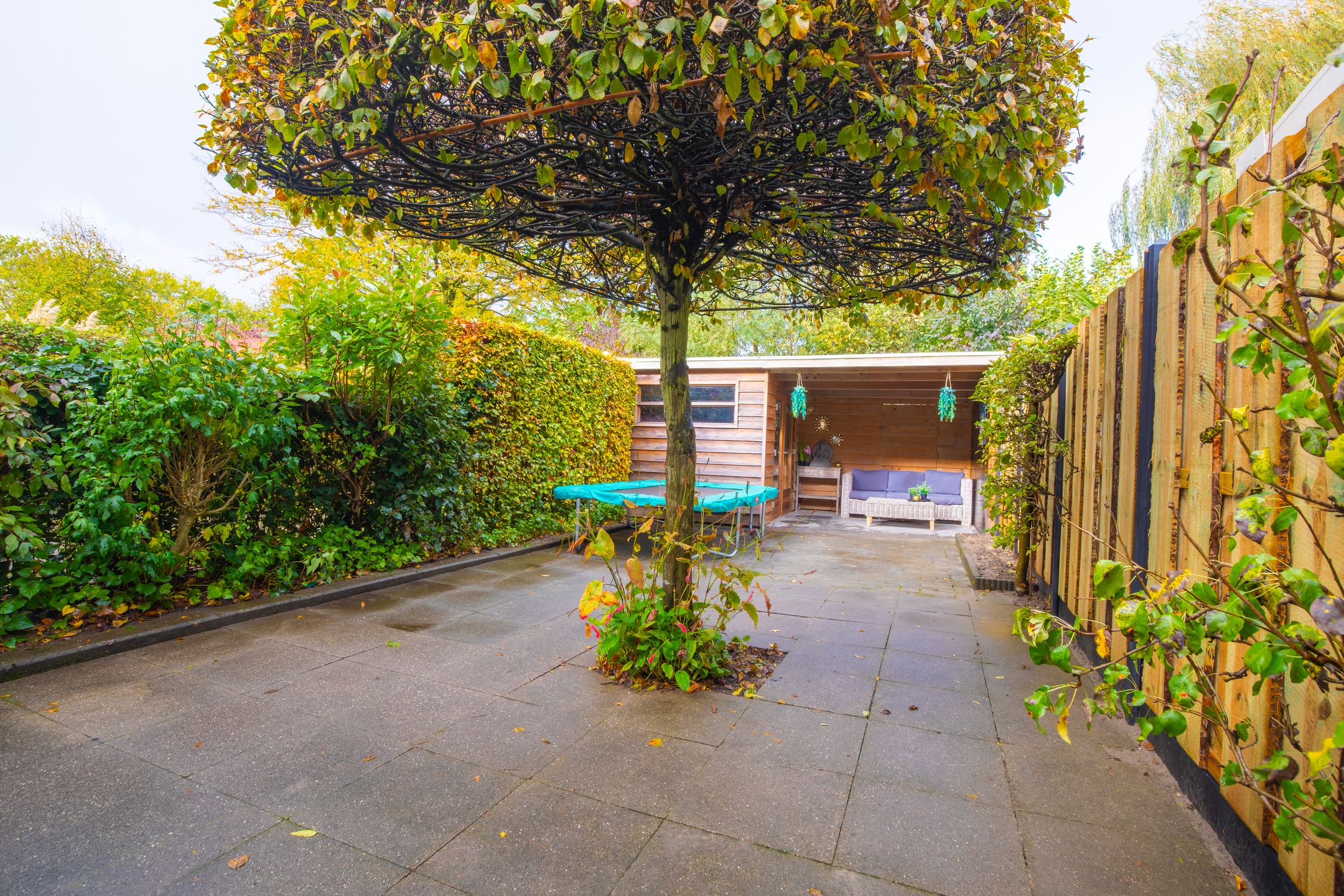 Foto 21 van Zoetendaal 223