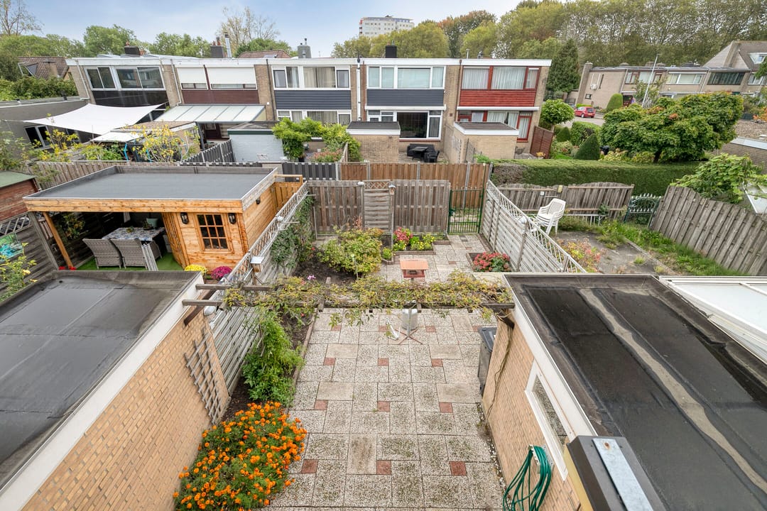 Photo 17 of Saxenoord 11