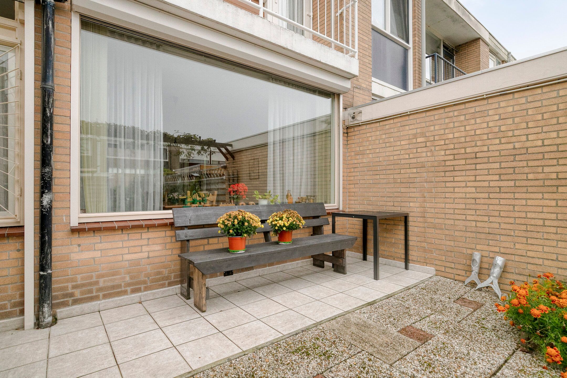 Photo 27 of Saxenoord 11