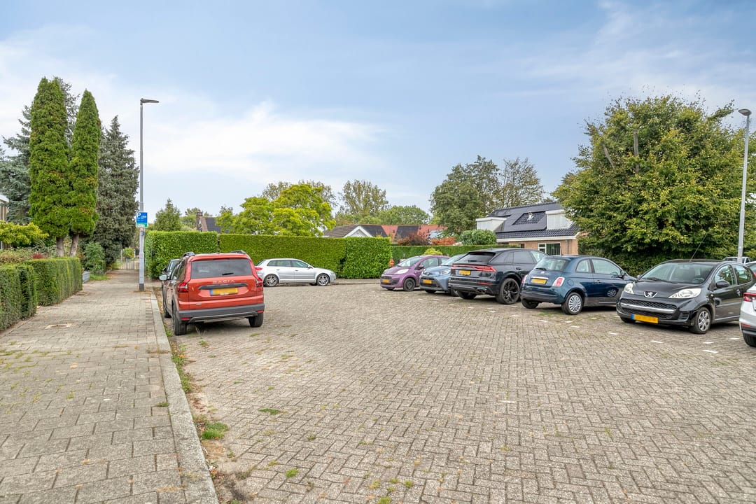 Photo 31 of Saxenoord 11