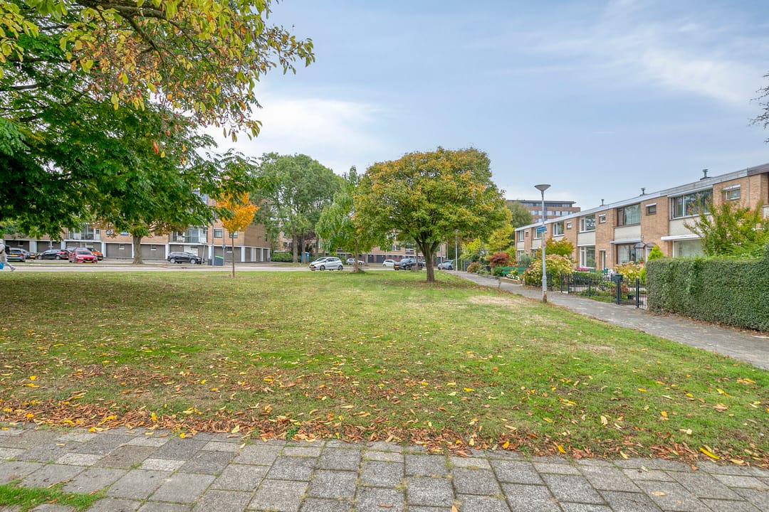 Photo 32 of Saxenoord 11