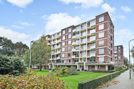 Ranonkelstraat thumbnail