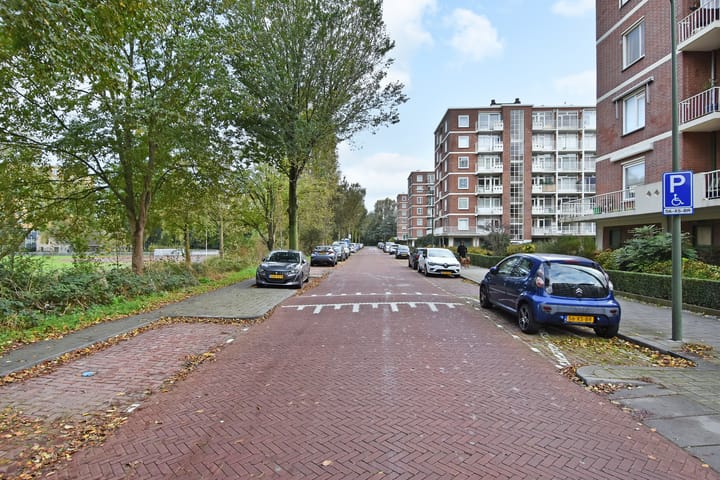 Foto 4 van Ranonkelstraat 171