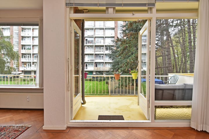 Foto 19 van Ranonkelstraat 171