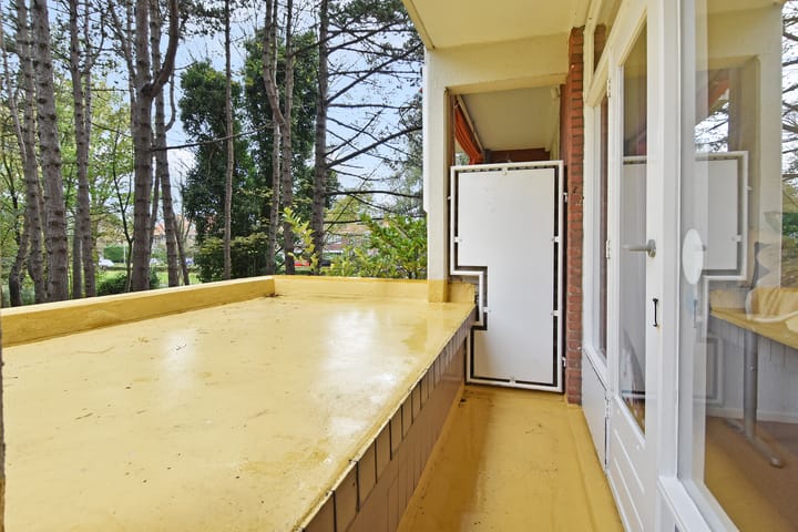 Foto 20 van Ranonkelstraat 171