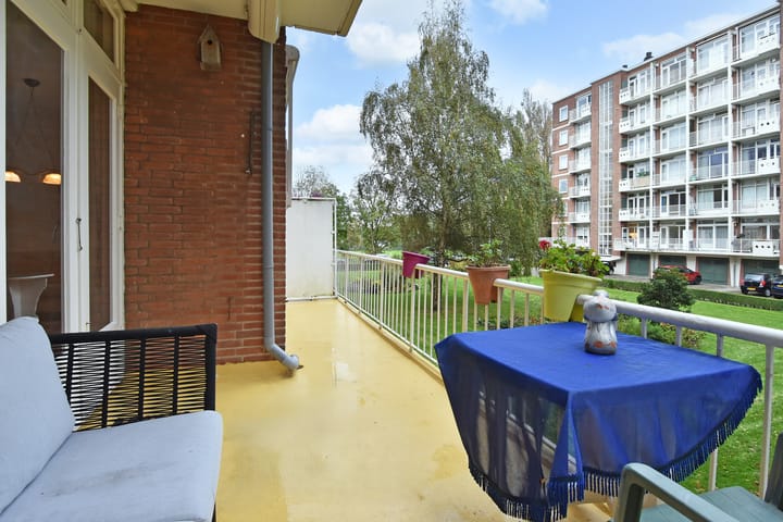 Foto 22 van Ranonkelstraat 171