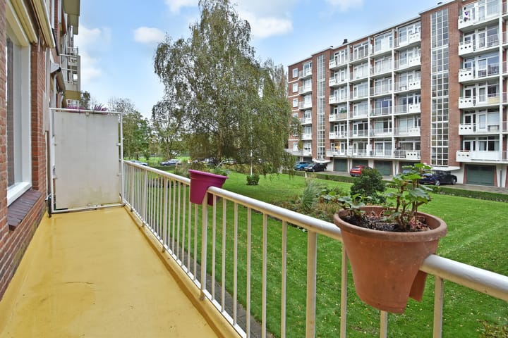 Foto 23 van Ranonkelstraat 171