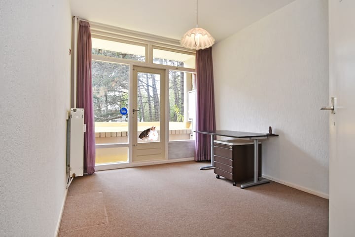 Foto 28 van Ranonkelstraat 171