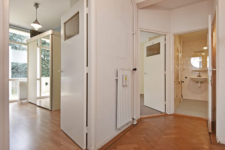 Foto 36 van Ranonkelstraat 171