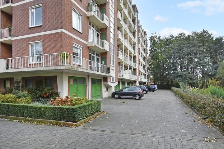 Foto 47 van Ranonkelstraat 171