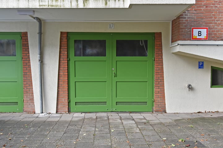 Foto 49 van Ranonkelstraat 171